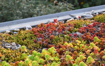 the cost of Mountjoy green roof installation