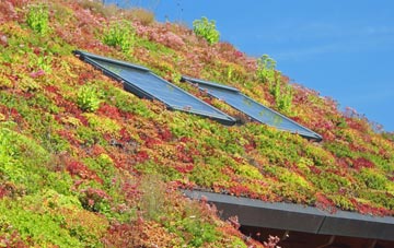 Mountjoy living roof systems