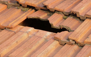 roof repair Mountjoy