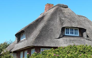 thatch roofing Mountjoy